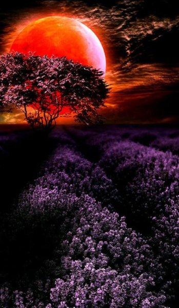 Природа Луны