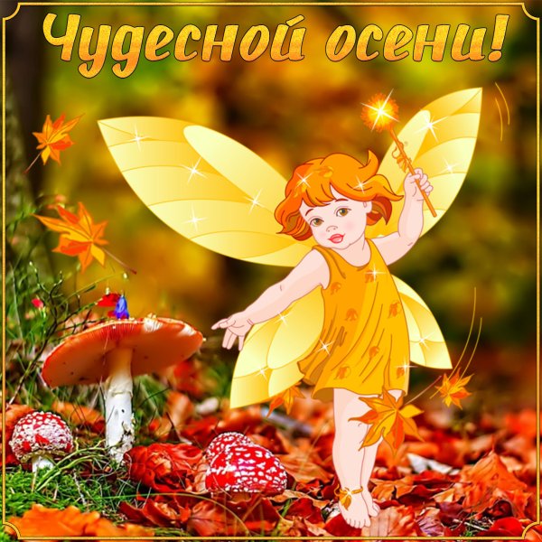 Открытки чудесной осени