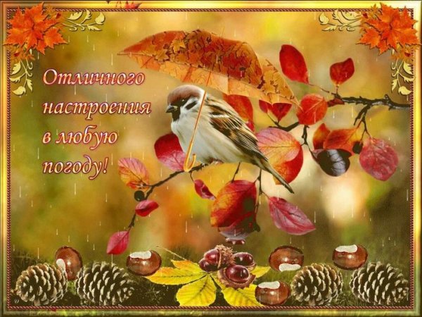 Хорошего осеннего настроения
