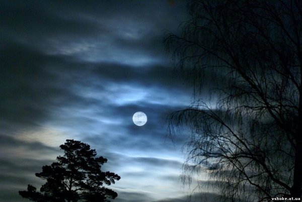 Луна светит