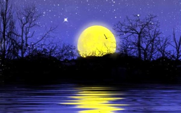 Желтая Луна