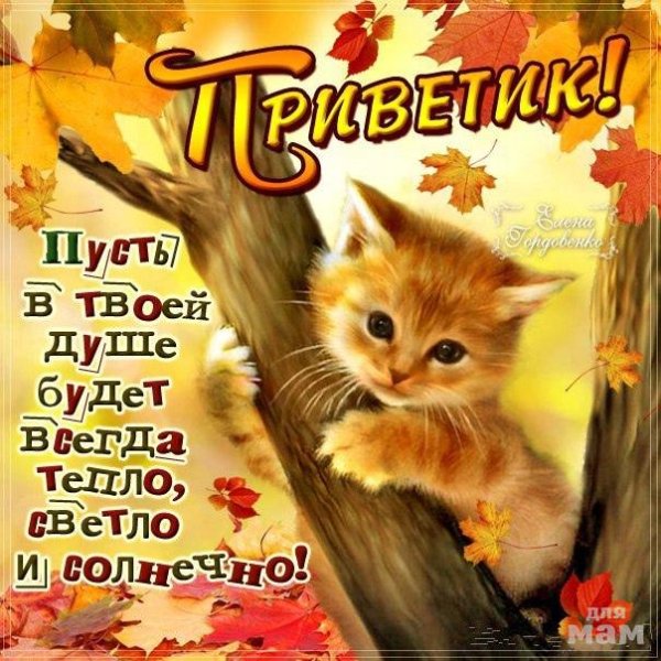 Теплой осени и тепла в душе