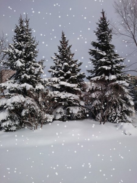 Подтаявший снег