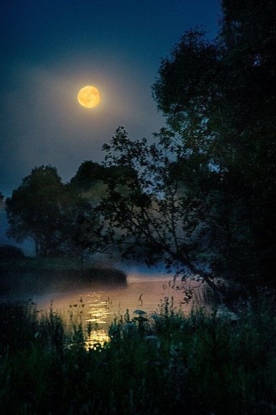 Под светом Луны