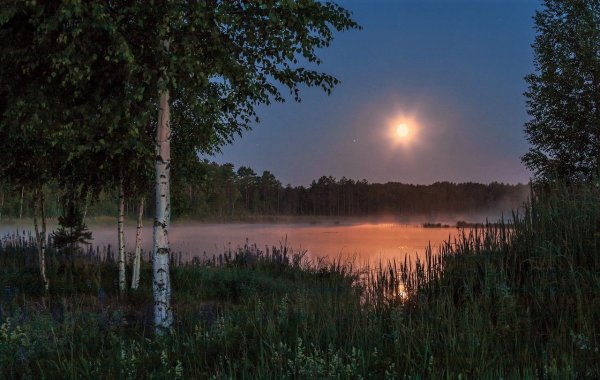 Лунная летняя ночь в деревне