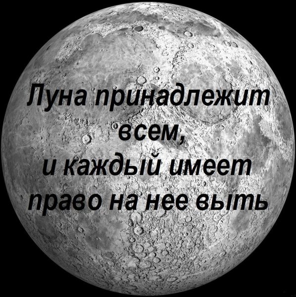 Шутки про луну