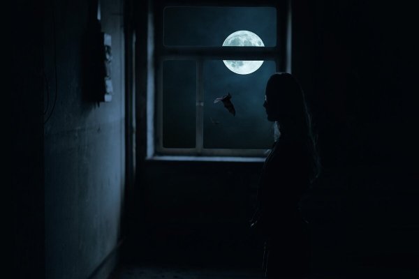 Луна в окне