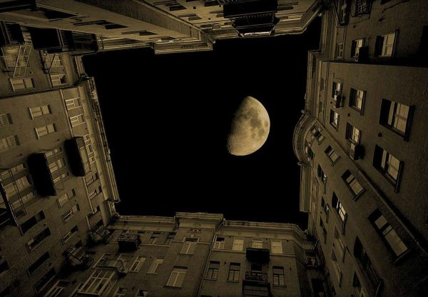 Луна во дворе