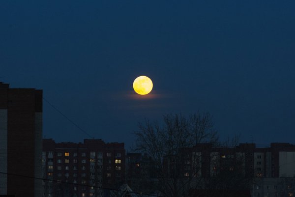 Луна за окном