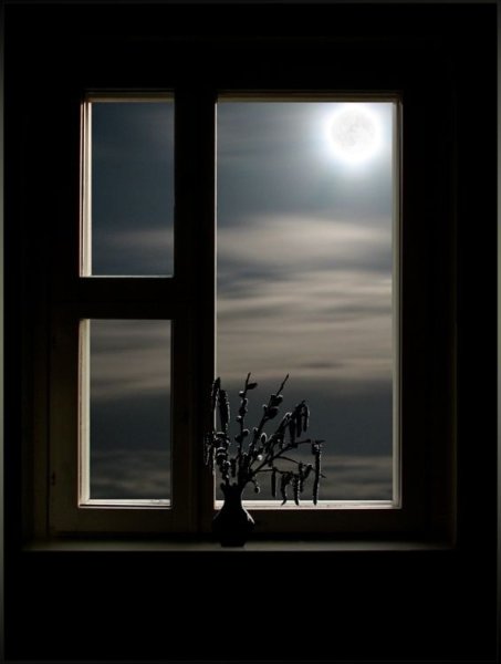 Окно в темноте