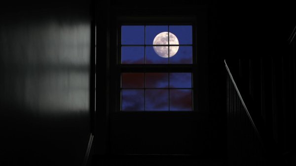 Свет Луны в окно