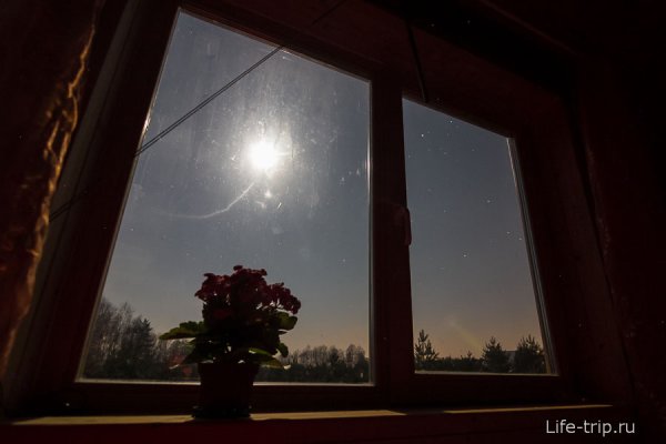 Ночное небо из окна