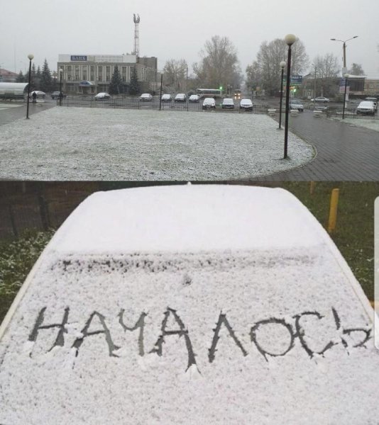 Неожиданно выпал снег