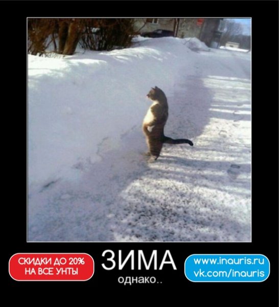 Демотиваторы про зиму