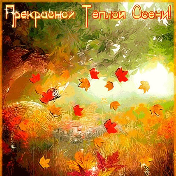 Открытки теплой осени