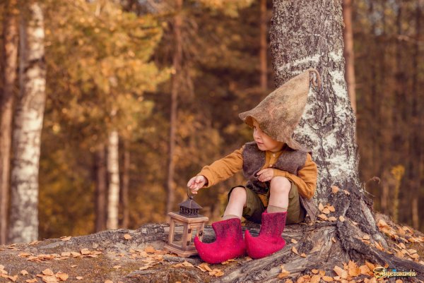 Осень в лесу для детей