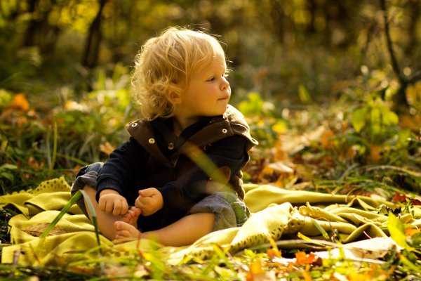 Осень в лесу для детей