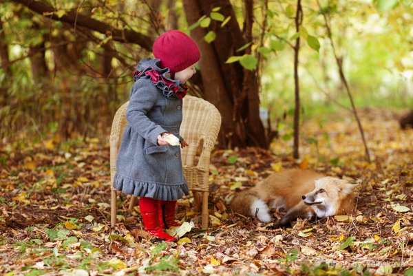 Осень в лесу для детей