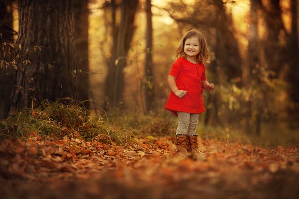 Осень в лесу для детей