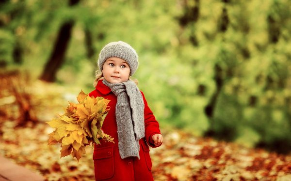 Ранняя осень для детей