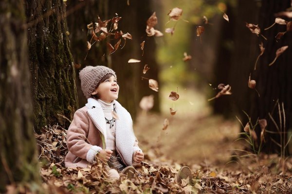 Осенний лес для детей