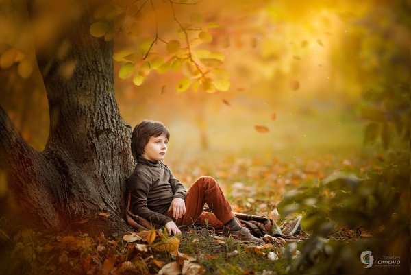 Осенняя фотосессия в лесу мальчик
