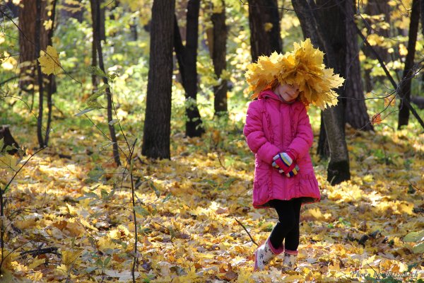 Прогулка в осеннем лесу
