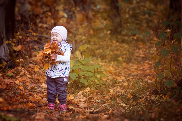 Осень в лесу для детей