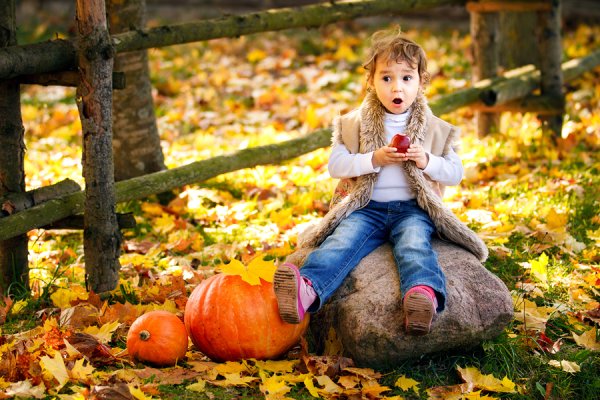 Осень в лесу для детей