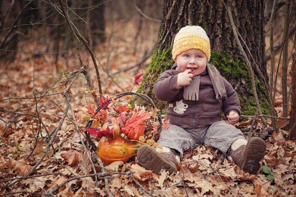 Детская осенняя фотосессия в лесу