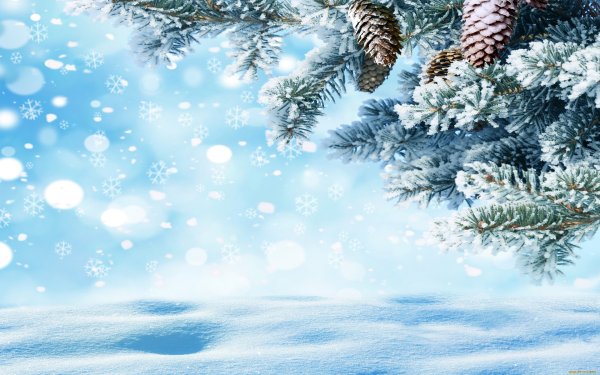 Зимний фон с елочкой