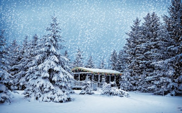 Новогодний пейзаж фото на рабочий стол