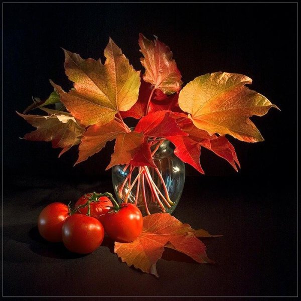 Букет осенних листьев