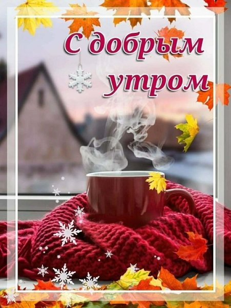 С добрым осенним утром и хорошим днём