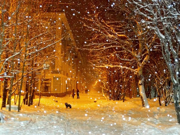 Красивый снегопад в городе