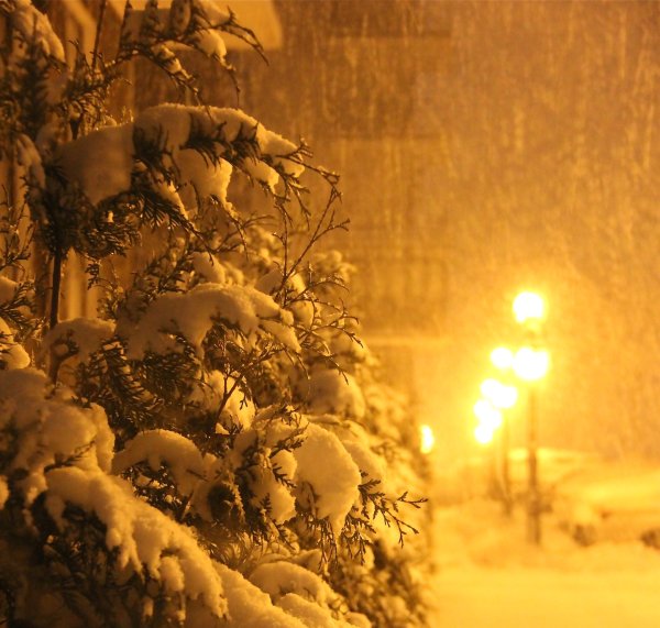 Метель вечером