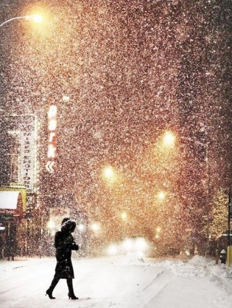 Снегопад в городе