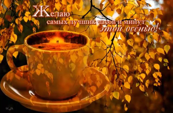 Доброе Воскресное солнечное осеннее утро