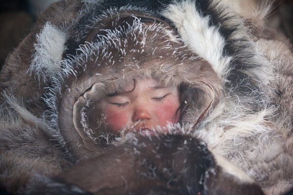 Спит в шубе