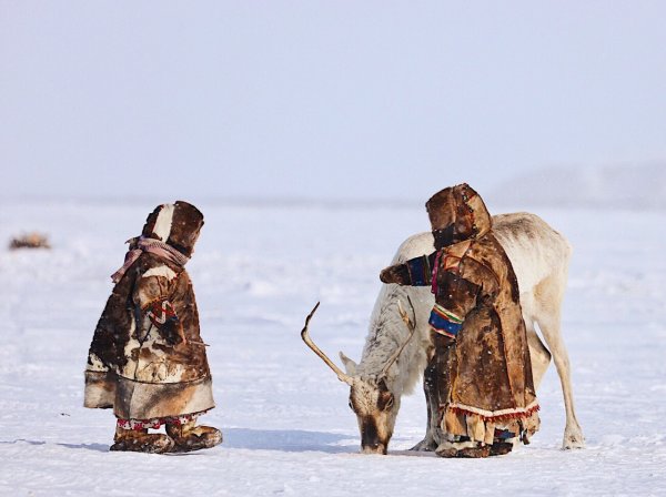 Ненцы, саамы, манси, Ханты