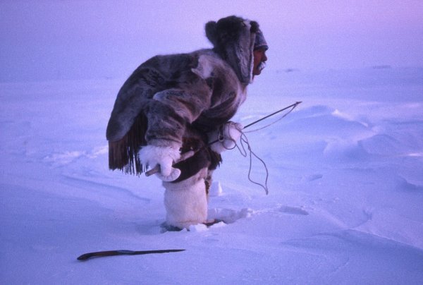 Чукча охотится на тюленя