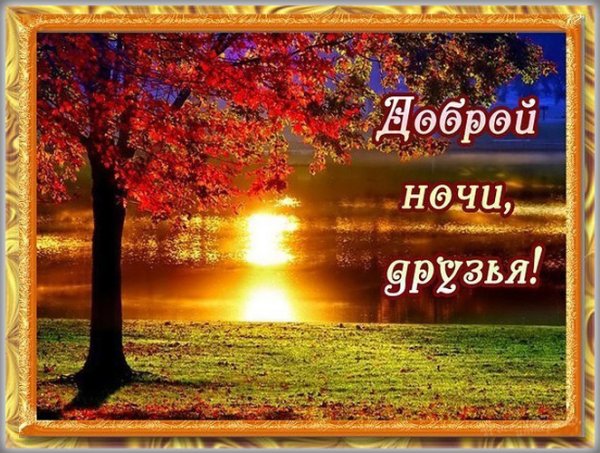 Доброй осенней ночи