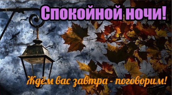 Спокойной дождливой осенней ночи