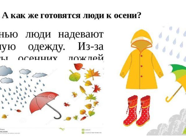 Осенняя одежда задания для детей