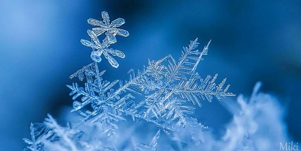 Красивая зима снежинки