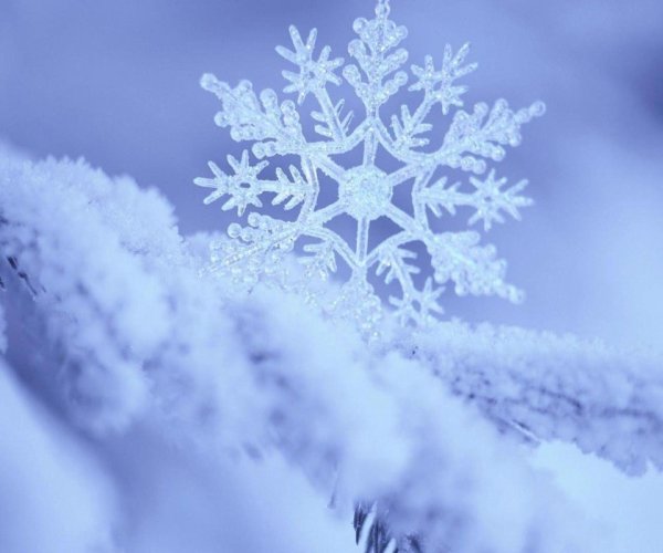 Зимние снежинки