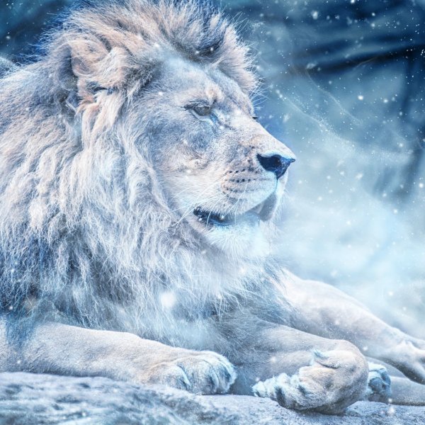 Ледяной Лев