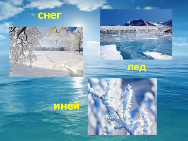 Снег и лед для окружающего мира