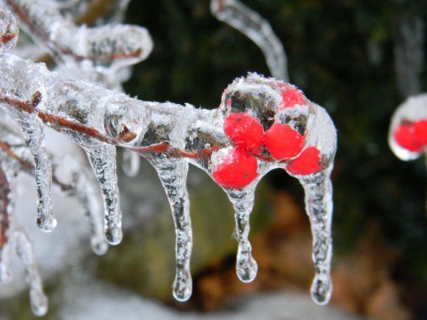 Снег и лед в природе на улицах города