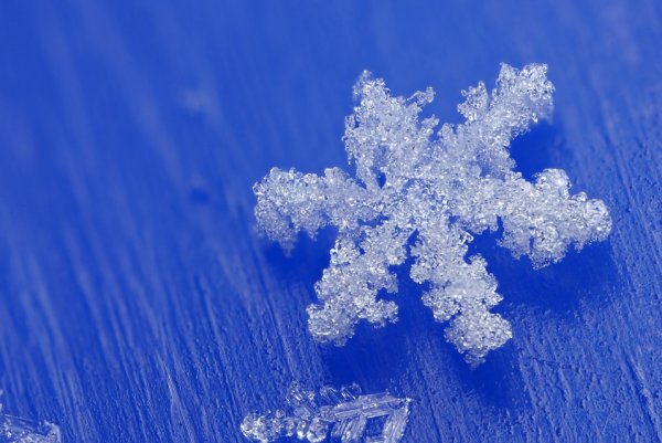 Кристаллы из снега